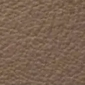 Leather texture sample, medium brown, granular surface with mottled tone; CPRN Homood “cl2000 col.” designation visible, studio lighting.